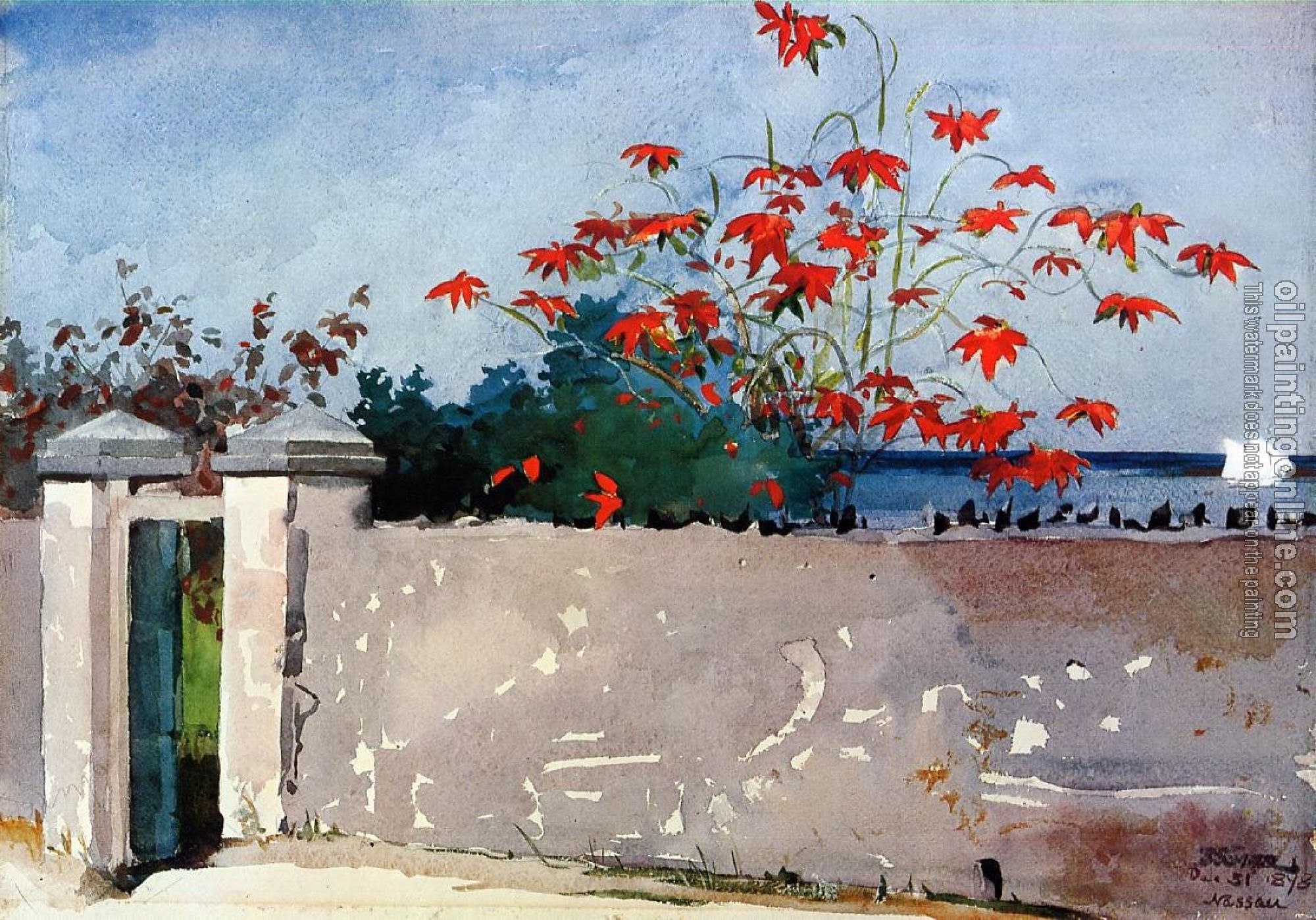 Homer, Winslow - A Wall, Nassau